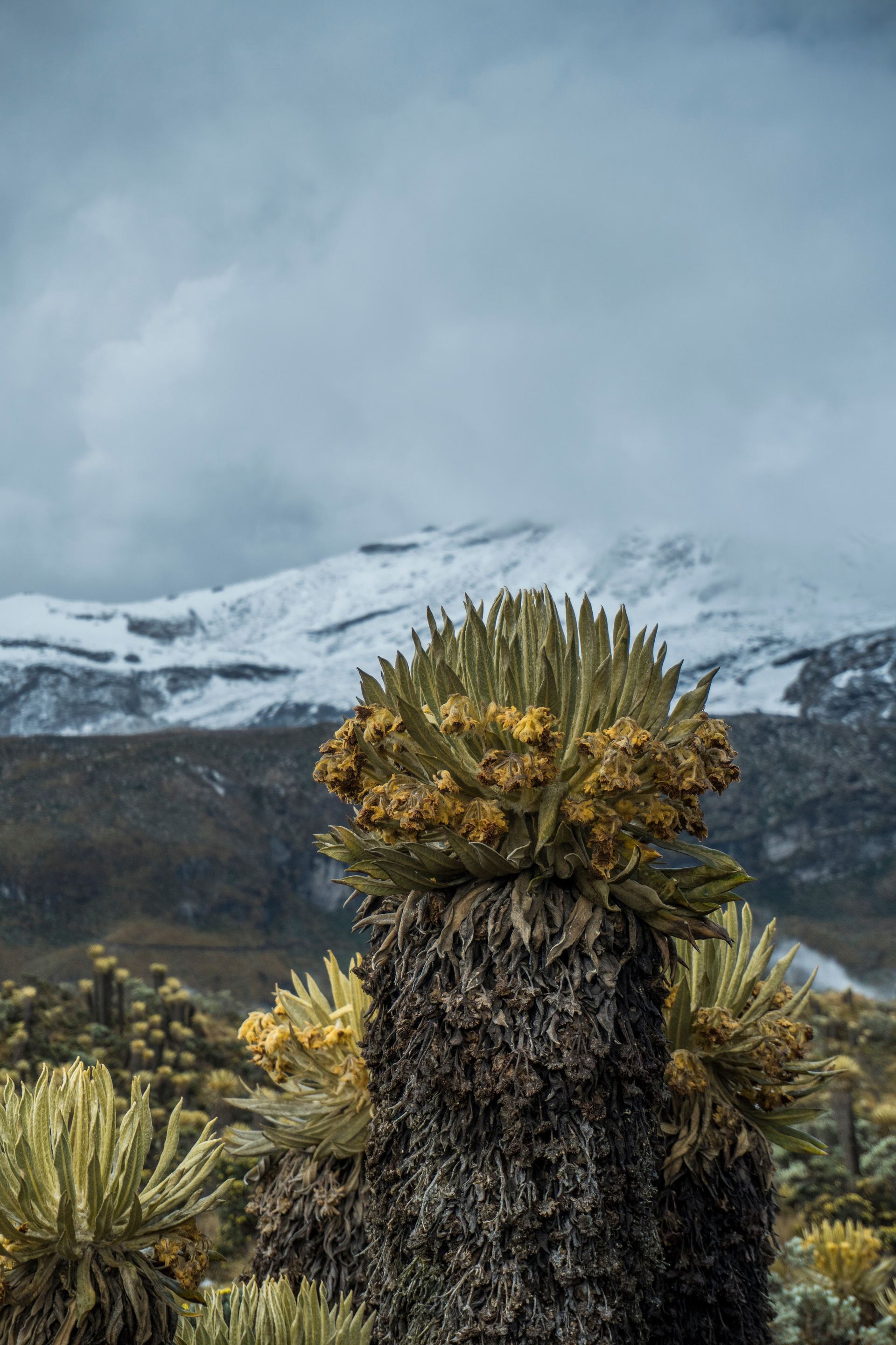 Nevado del Ruiz